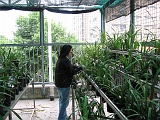 照片 009